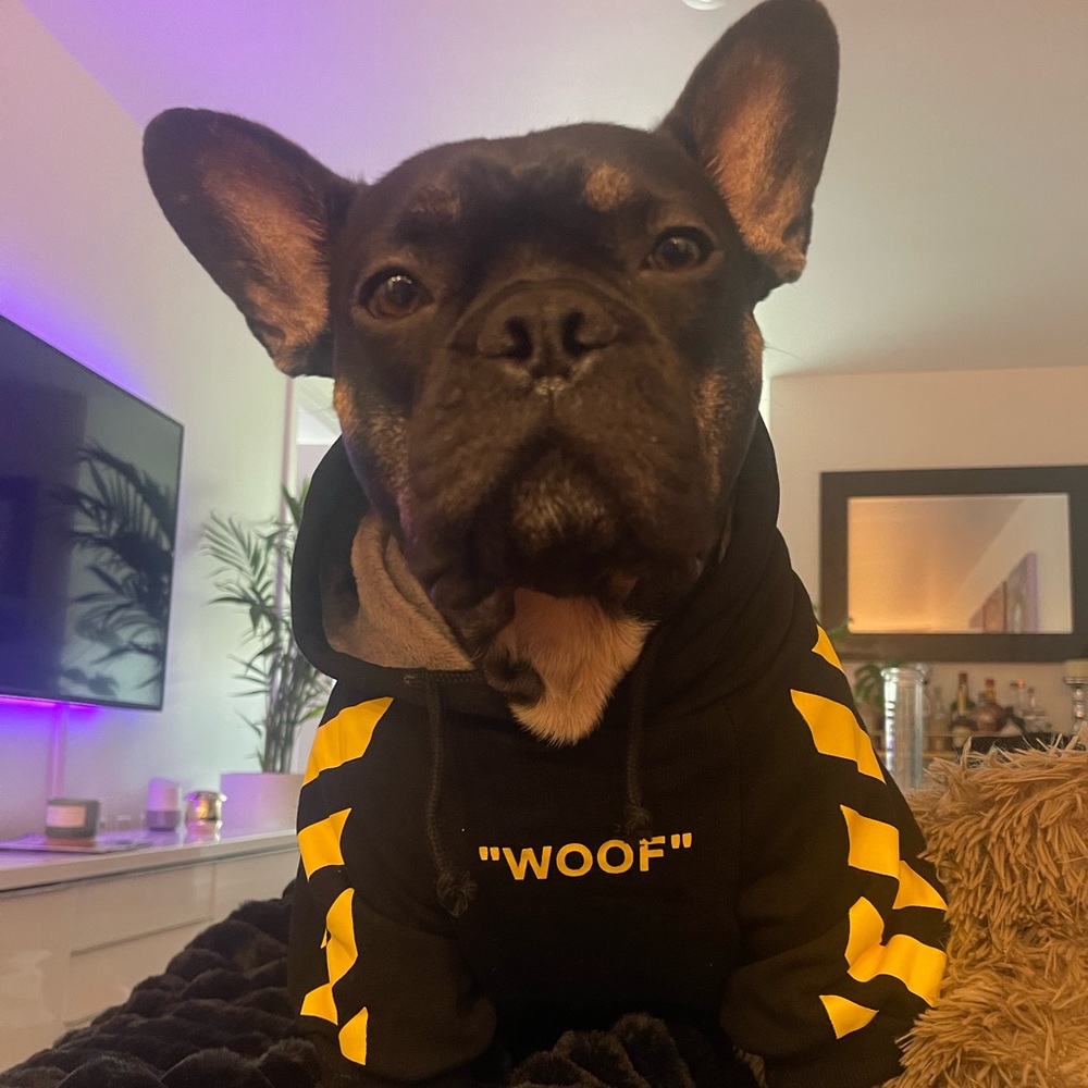 Meet your Posher, Emilee